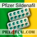 Pfizer Sildenafil dapoxetine2